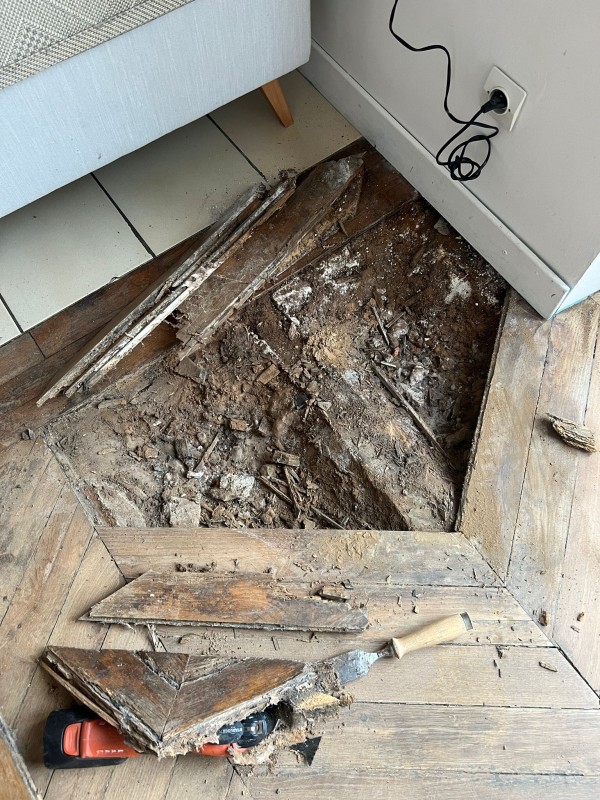 Dépose partielle parquet Pointe de Hongrie